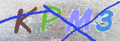 この文字を入力してください