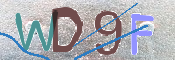 この文字を入力してください