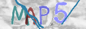 この文字を入力してください