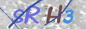 この文字を入力してください