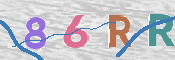 この文字を入力してください