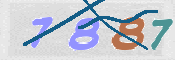 この文字を入力してください