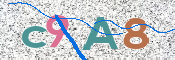 この文字を入力してください