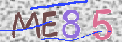 この文字を入力してください