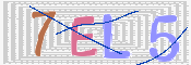 この文字を入力してください