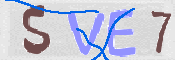 この文字を入力してください