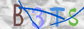 この文字を入力してください
