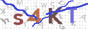 この文字を入力してください