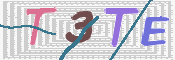 この文字を入力してください