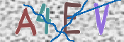 この文字を入力してください