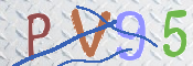 この文字を入力してください