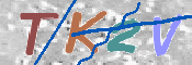 この文字を入力してください