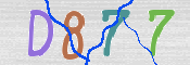 この文字を入力してください