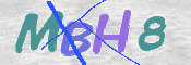 この文字を入力してください
