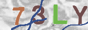 この文字を入力してください