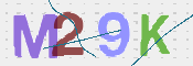 この文字を入力してください