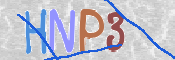この文字を入力してください