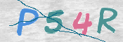 この文字を入力してください