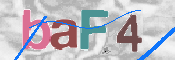 この文字を入力してください