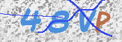 この文字を入力してください
