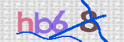 この文字を入力してください