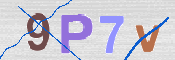この文字を入力してください