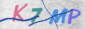 この文字を入力してください