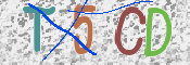この文字を入力してください