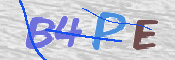 この文字を入力してください