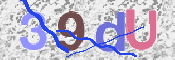 この文字を入力してください