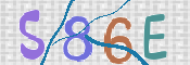 この文字を入力してください