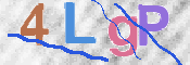 この文字を入力してください