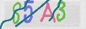 この文字を入力してください