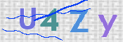 この文字を入力してください