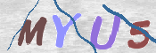 この文字を入力してください