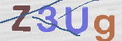 この文字を入力してください