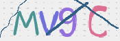 この文字を入力してください