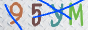この文字を入力してください