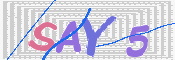 この文字を入力してください