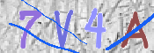 この文字を入力してください