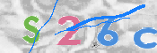 この文字を入力してください