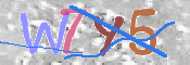 この文字を入力してください