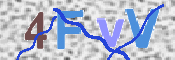 この文字を入力してください