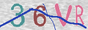 この文字を入力してください