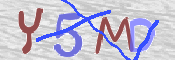 この文字を入力してください