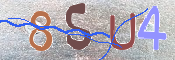 この文字を入力してください