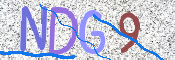 この文字を入力してください