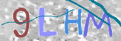 この文字を入力してください
