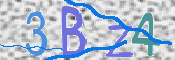 この文字を入力してください