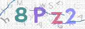 この文字を入力してください